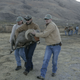 Image for article titled Sheep, Guns And Helicopters